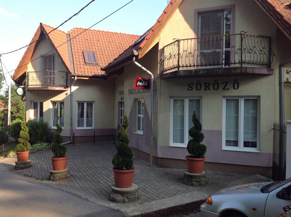 Bed and Breakfast Berg Panzió Sátoraljaújhely Exterior foto